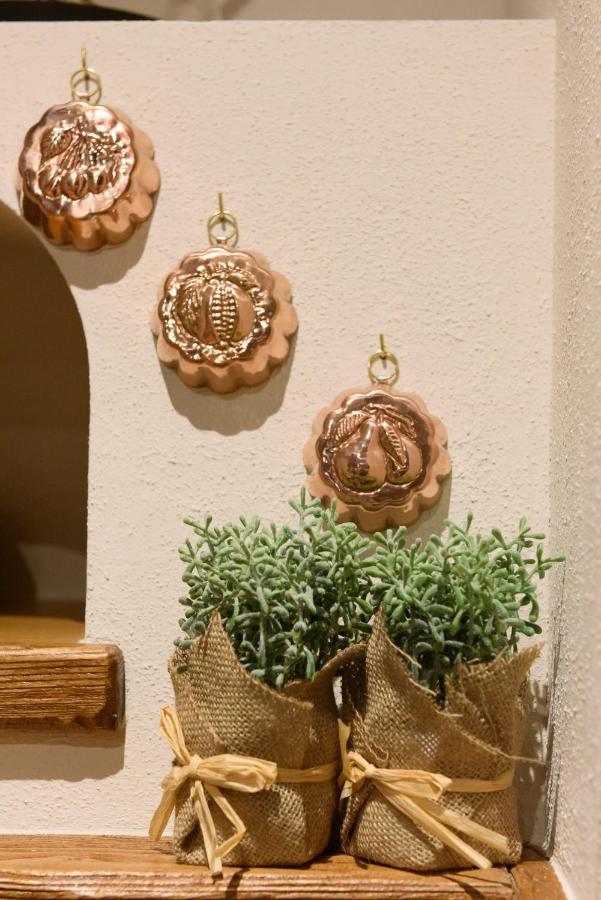 Hortus Conclusus + Free Parking Apartment Сиена Екстериор снимка
